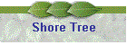 Shore Tree